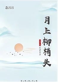 月上柳梢头，人约黄昏后小说封面